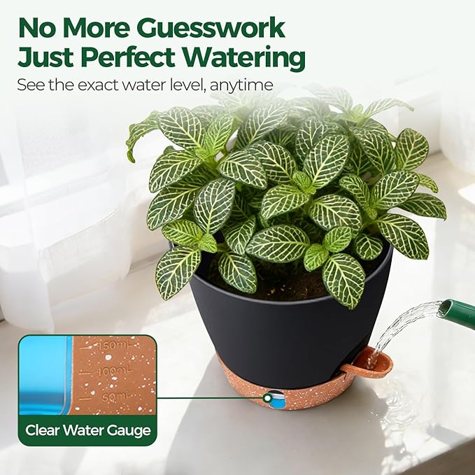T4U 2 Pack 8 Inch Self Watering Pots - Water Level Indicator & Deep Reservoir, Mess-Free Planter for Busy People, Beginners & Gardeners, Pothos/Herbs/Snake Plants, Indoor Outdoor Use (Black) T4U