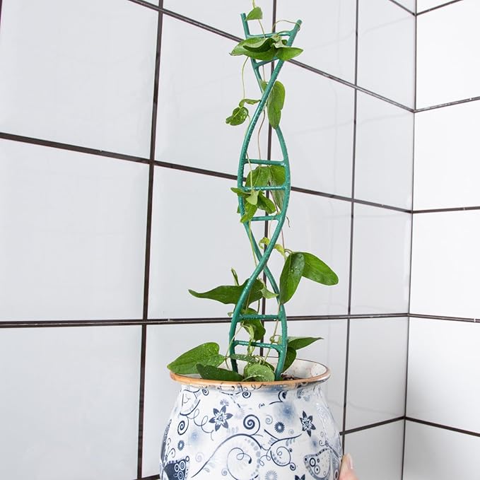 Indoor Plant Trellis for Potted Plants - Upgraded Metal Spiral Design for Climbing Plants, Durable Powder Coated Support for Small Houseplant Pots, Ideal for Indoor & Outdoor Use Yohsnor