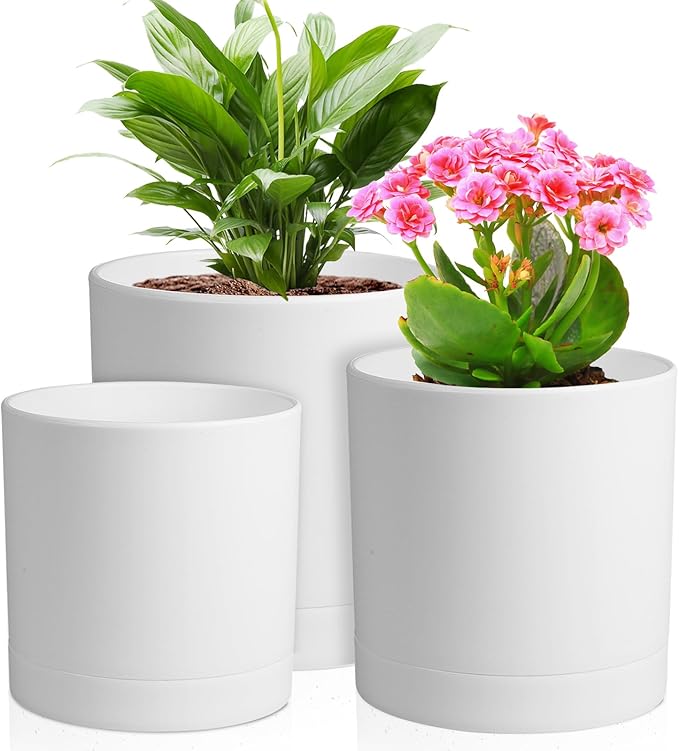 6/5/4 inch Flower Pots, Pack of 3 Cylinder Plant Pots for Small Indoor Outdoor Plants, Plastic Planters with Drainage Holes and Saucers for Garden Succulent Nursery House Plants, White Meowell