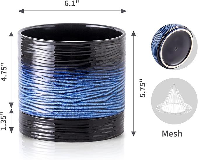 Nihow Ceramic Plant Pot: 6 Inch Planter with Drainage Hole & Saucer for Indoor & Outdoor Plants - Cylinder Round Flower Pot for Succulent/Herbs/Violets - Black & Vivid Blue Nihow