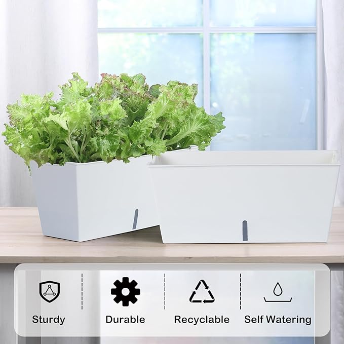 Window Box Planter 6 Pcs, 16.5 Inches Self Watering Rectangle Flower Plant Pots with Drainage Holes Trays, Vegetable Planters for Windowsill Patio Garden Balcony Porch Yard (White) Oliz