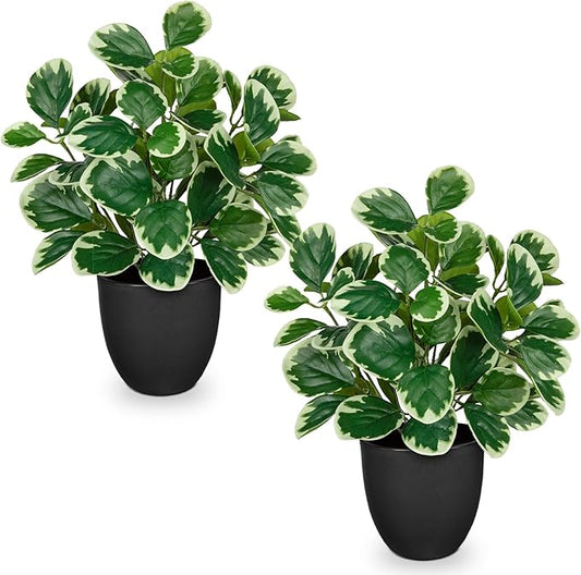 Sets of 2 Artificial Plants Indoor Home Decor, 14.5" Fake Potted Silk Plants for Shelves Living Room Decor, Small Artificial Office Desk Plant in Pots, Faux Peperomia Hope Tropical House Plant VillaComo