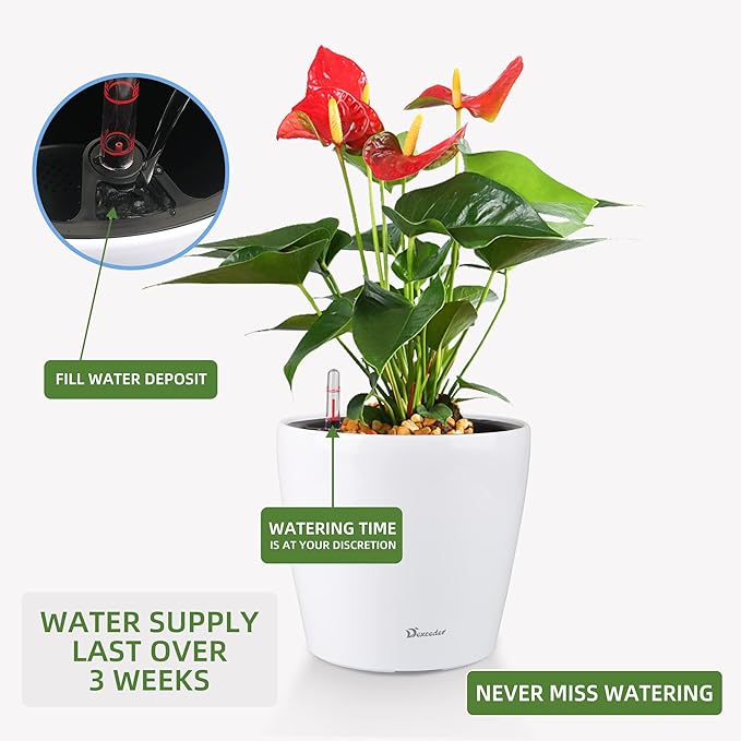 Dexceder 11x10 Inches High Gloss Self Watering Planter Indoor Outdoor, Inner Pot Design, Thickened Table Flower Plant Pot with Water Level Indicator (White) Dexceder