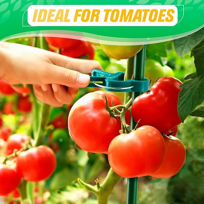 Tomato Plant Support Clips – 60 Pcs Reusable Plastic Garden Clips in 2 Sizes for Upright Growth of Vegetables, Flowers & Vines DIMROM