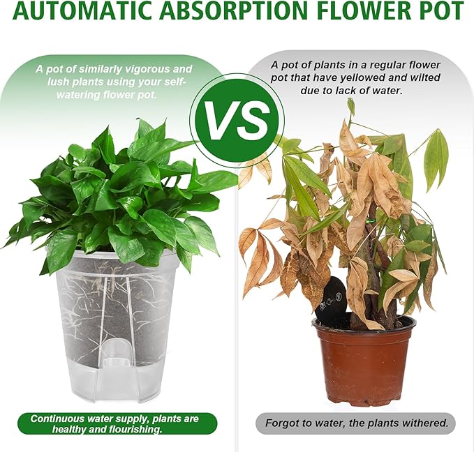 Cdd's Path Large Naked Root Planter Self Watering Pots Set with Holes for Indoor/Outdoor Plants, Planter Pot with Watering Hole/Reservior and Air Pipes (Clear, 8 inch-5 Pack) Rootora