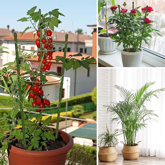 4 Pack Tomato Cage for Garden Plant Support, 24 inches Small Tomato Cages Tomato Trellis with Adjustable Rings, Plant Stakes for Peony Support, Tomato Stakes Rings for Climbing Plants HOYEJYOU