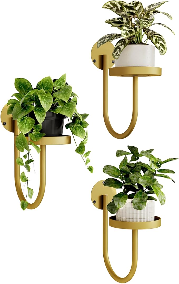 Bamworld Wall Plant Holder Wall Planters for Indoor Plants Plant Hanger Indoor Window Plant Shelves Hanging Plant Holder Window Plant Hanger Plant Decor Golden 3pcs Bamworld