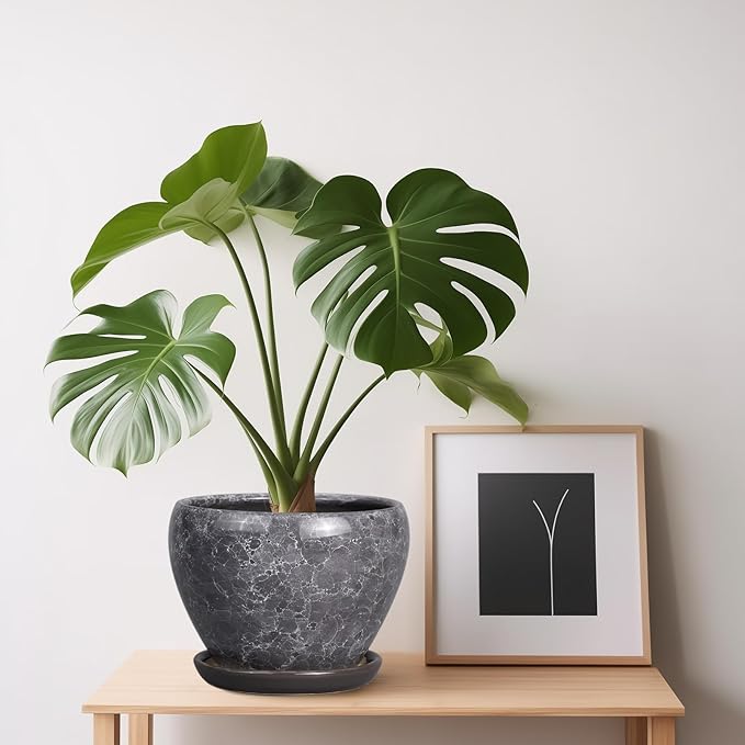 Ceramic Planter - 6 Inch Plant Pot with Drainage Hole and Saucer, Succulent Pot Glaze Round Flower Pot for Indoor Outdoor Plants, Gray Ceramicfor