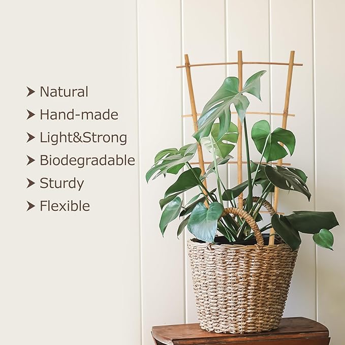 Plant Trellis Indoor, 3 Pack Bamboo Trellises, 16in Fan-Shaped Trellis for Potted Plants Climbing Plants Hoya Vine Ivy Cambaverd