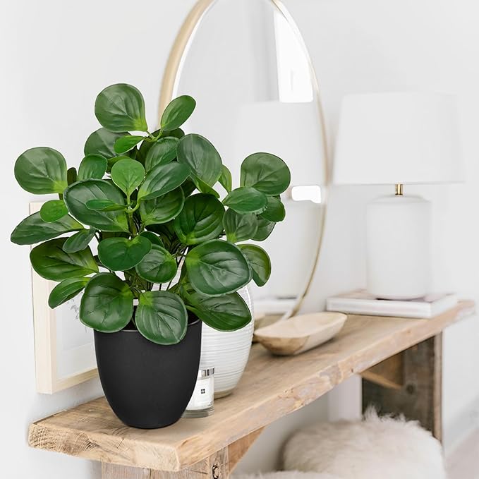 14.5" Artificial Plants Indoor Home Decor, Fake Potted Silk Plants for Shelves Living Room Decor, Small Artificial Office Desk Plants in Pots, Faux Peperomia Hope Tropical House Plant, Sets of 2 VillaComo