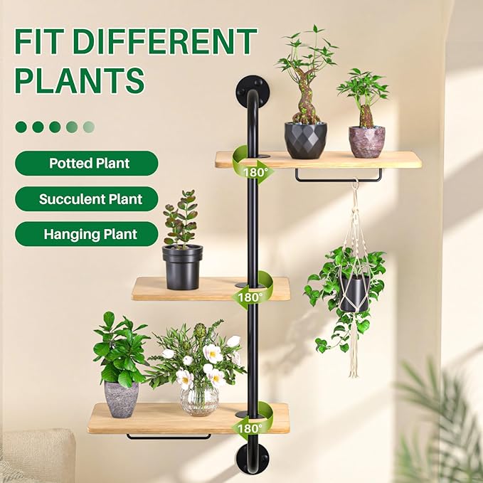 DELLAN Window Plant Shelves, Rotating Plant Shelf for Window, Wall Mounted Indoor Hanging Plants Shelf (3 Tier) DELLAN