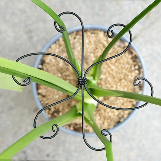 Monstera Plant Stem Support Set - 7.5x7.5 Inch Durable Stabilizers for Indoor Climbing Plants and Leaf Holders - Promote Healthy Growth and Stability (5 Pieces) Yohsnor