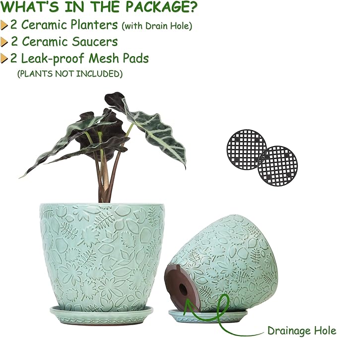 8 Inch + 6 Inch Plant Pots for Indoor Plants, Ceramic Planter with Drainage Hole and Saucers, Garden Pots for Succulent, Orchid, and Flower, Set of 2 Bestseler