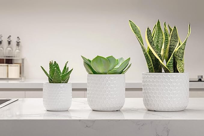 Docrin Plant Pots Indoor with Drainage: 6.4+5.3+4 Inch Ceramic Flower Pots for Plants - Set of 3 Modern Decorative Planters for House/Office/Gift - White Honeycomb DOCRIN