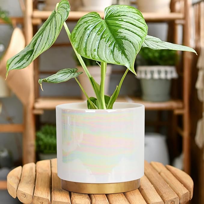 Gepege White Indoor Plant Pots for Plants, Ceramic Planter with Drainage Hole, 7.6 Inch +6 Inch 2pcs Succulent Orchid Flower Pot - Rainbow Pearl Glaze Gepege
