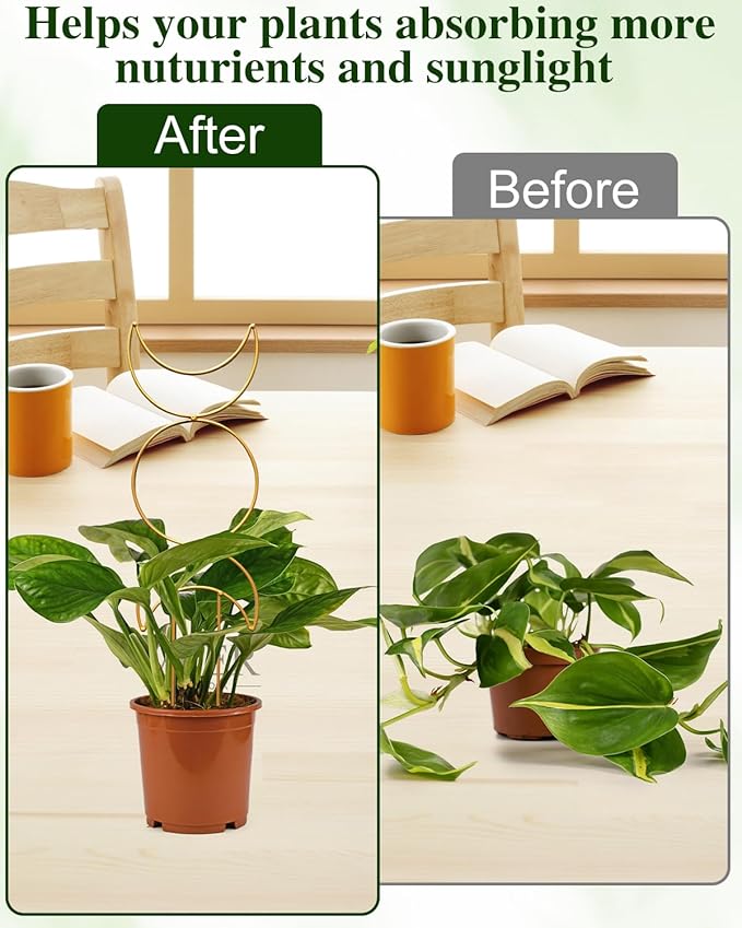 4 Pack Trellis for Climbing Plant Indoor, Small Metal Garden Trellis for Potted Plants Outdoor, Stake Mini Houseplant Trellis Support for Hoya, Vines, Pothos, Monstera (Gold) Rootora