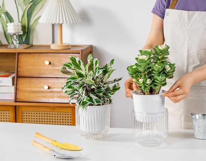 Melphoe Self Watering Pots for Indoor Plants Planter, 5.3 Inch 2 Pack Planters Self Watering Plant Pots for Flower, Houseplants, Succulent, African Violets and Cactus with Drainage Melphoe