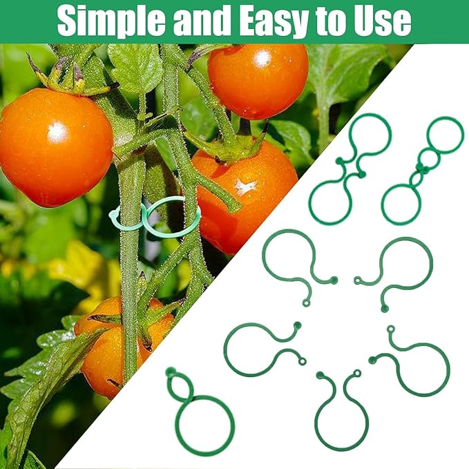 Hysagtek 100 Pcs Plant Support Clips - Heavy Duty Garden Clips for Tomatoes, Vines & Climbing Plants - Reusable Green Plastic Plant Ties Hysagtek