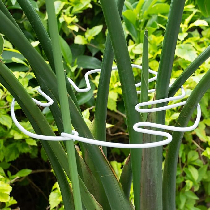 White Monstera Plant Stem Support - 5PCS 7.3x6.25in Durable Adjustable Garden Stake for Indoor Plants, Fishbone Cactus Holder, Innovative Leaf Clip Set, Ideal Tool for Healthy Plant Growth Yohsnor