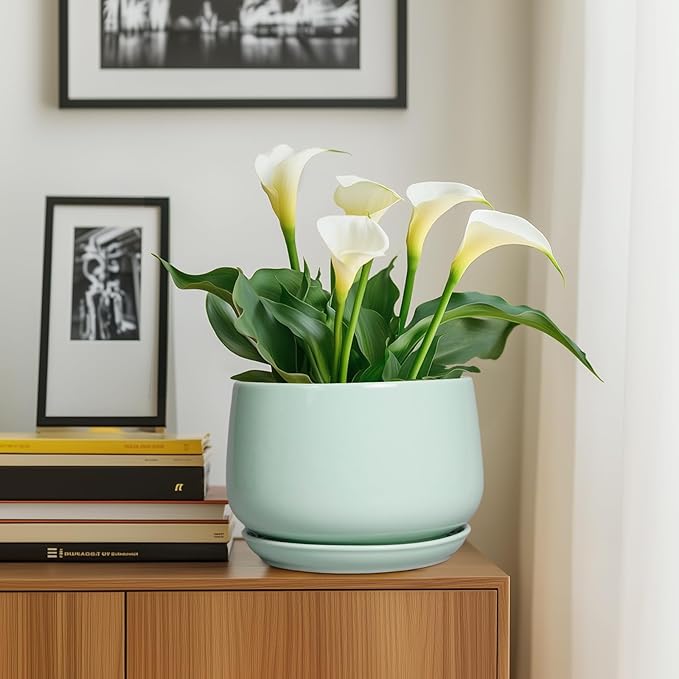 G EPGardening Ceramic Pots for Plants - 9 Inch Ceramic Planter with Drainage and Saucer, Round Planter for Indoor Outdoor Plants, Modern Flower Pots, Garden Decor, Birthday Gifts, Green GEPGardening