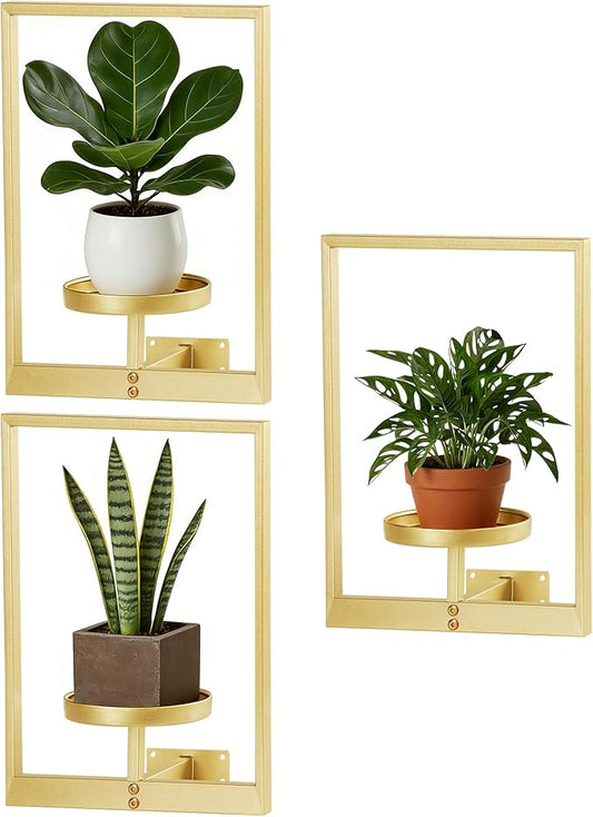Wall Hanging Plant Stands Planter Shelves, Indoor Outdoor Window Plant Hanger Decor for Living Room Entryway (Gold 3-Pack) Rootora