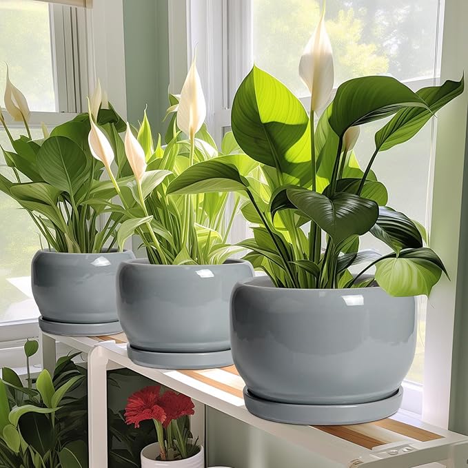 SQOWL Ceramic Pot for Plants - 8 Inch Plant Pot Indoor with Drainage Hole and Saucer, Round Planter Outdoor, Decorative Modern Planter for Flower, Bedroom Decor, Plant Lovers Gifts, Gray SQOWL