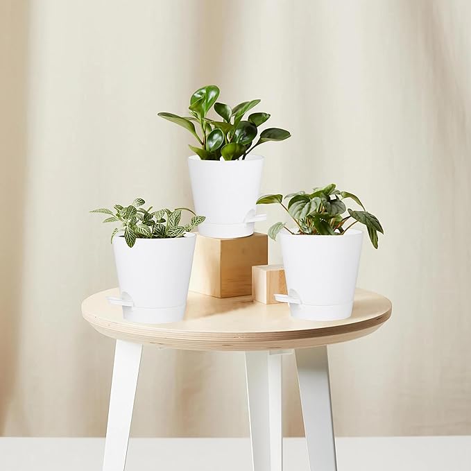 5 Pack 5 inch Self-Watering Pots, African Violets Planter with Drainage Holes and Reservoir, White Plastic Planter for Indoor Outdoor Plants Flowers and Houseplants White, 5 inch 5 pcs zople