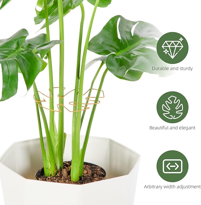 6PCS Iron Monstera Plant Support, Uniquely Designed Indoor Plant Accessories, Stable Plant Support Stakes for Indoor Plant, Turtle Shell Bamboo Clamp Set for Thriving Growth Rootora