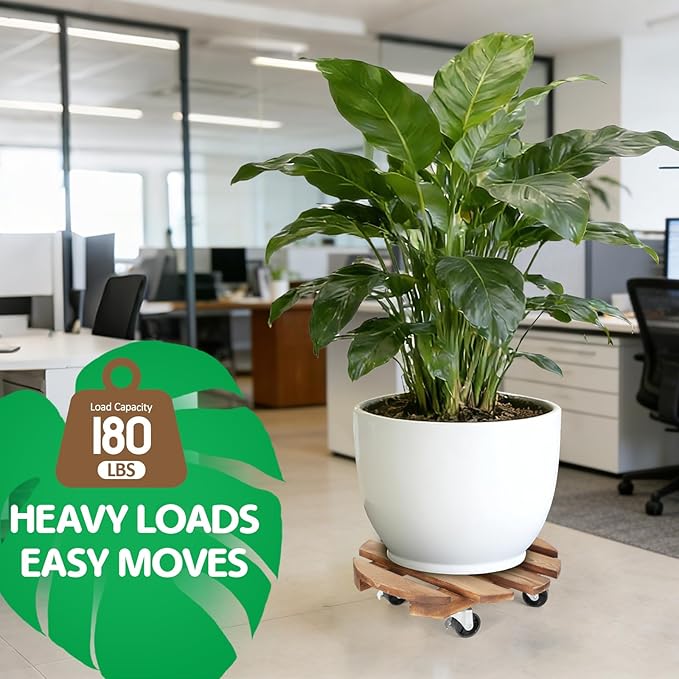 2 Pack Plant Stand with Wheels, Plant Caddies with 360° Lockable Smooth Sliding Wheels Durable Sturdy, Outdoor/Indoor Heavy Duty Rolling Plant Stand for Plant Pot,Flower Pot (12" Dark brown) DecorateYourRoomwithCuffUpFarmhouseHomeDecor