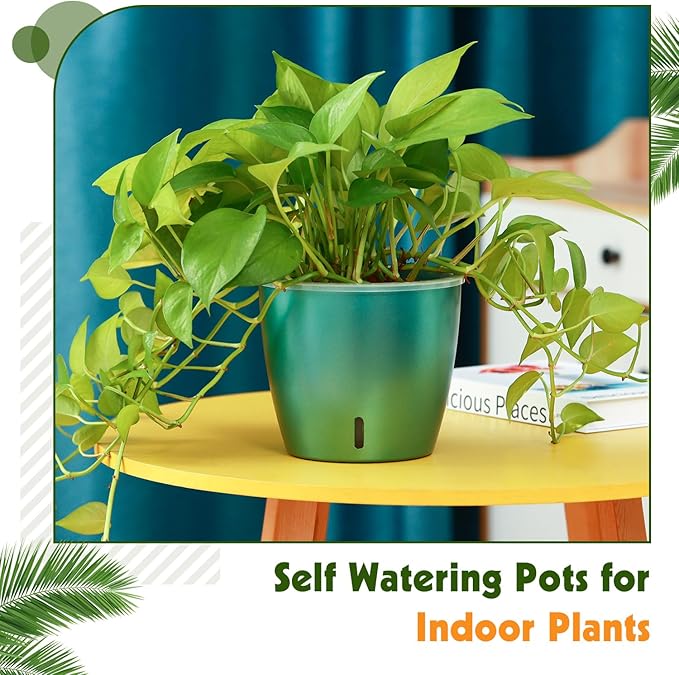 Self Watering Pots for Indoor Plants, 12-Pack 5'' Self Watering Planter with Drainage Holes, Small African Violet Pots with Water Indicator, Clear Wick Pot, White/Black/Blue/Rose Gold KvyusFlourish