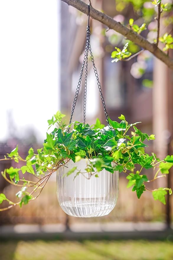 Melphoe 2 Pack Self Watering Hanging Planters Indoor Flower Pots, 6.5 Inch Outdoor Hanging Plant Pot Basket, Plant Hanger with 3Hooks Drainage Holes for Garden Home Melphoe