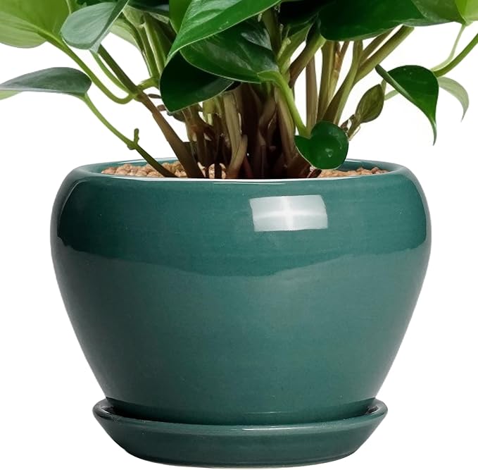 Indoor Plant Pot 6 Inch - Ceramic Planter with Drainage Hole and Saucer, Modern Decorative Indoor Planter for Herb Succulent Plants, Garden Home Decor, Gifts for Plant Lovers, Green Ceramicfor