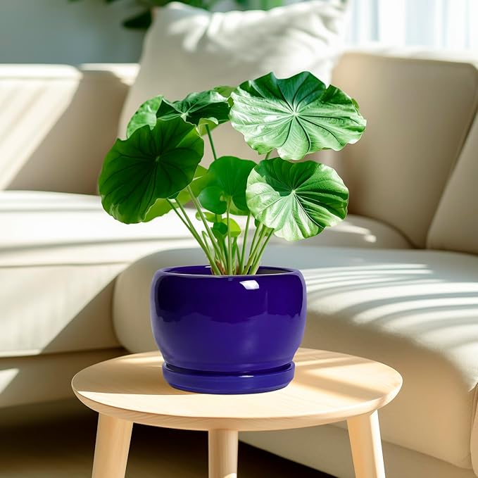 SQOWL 8 Inch Plant Pot - Ceramic Planter for Indoor Plants Outdoor, Ceramic Flower Pot with Drainage Hole and Saucer, Modern Round Planter, Bathroom Decor, Gifts for Plant Lovers, Blue SQOWL