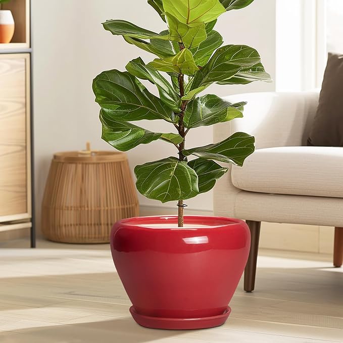10 Inch Plant Pot - Ceramic Planter for Indoor Outdoor Plants, Glaze Modern Round Planter with Drainage Hole and Saucer, Gifts for Plant Lovers, Home Room Garden Decor, Red Ceramicfor