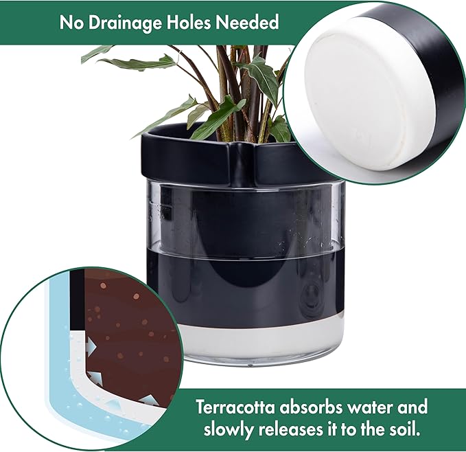 Phoenix Vine 8 Inch Self Watering Terracotta Planter, Black Terracotta Clay Pot with Glass Reservoir for Indoor Plants, Herbs, Flowers, Set of 1, 52-C-H-1 Phoenix+Vine
