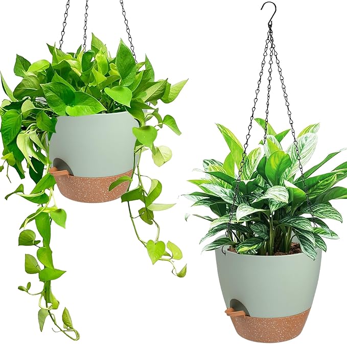 Hanging Planters for Indoor Outdoor Plants, 2 Pack Self Watering Hanging Pot with Drainage Holes & Removable Tray (Green, 6'') Vanslogreen