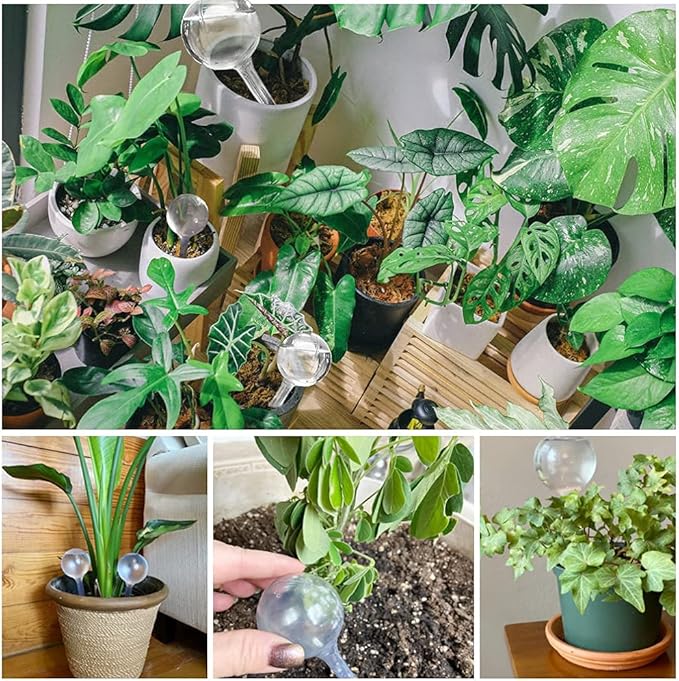10 Pcs Clear Plant Watering Globes,Plastic Self-Watering Bulbs,Flower Automatic Watering Device,Garden Waterer for Plant Indoor Outdoor -PlantWateringGlobes-