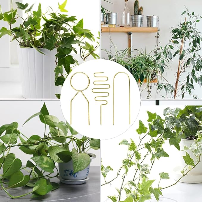 Small Metal Trellis for Potted Plants, 3 Pcs Gold Trellis for Climbing Plants Indoor, Plant Support Stake Mini House Plant Trellis for Hoya, Flower, Pothos, Monstera Yowlieu