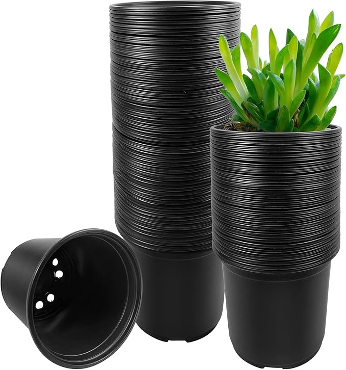 RAOOKIF 100 Pack Nursery Pots, 4 5 6 Inch Nursery Pot for Plants, Plastic Plant Pots with Drainage Holes, Garden Flower Pots for Transplanting, Succulents, Cuttings, Seedlings(6inch,100pcs) RAOOKIF