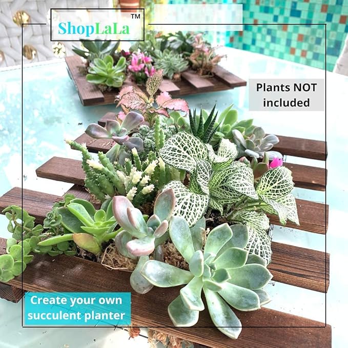 ShopLaLa Wall Planter - 2 Pack Wooden Hanging Succulent Wall Decor, Live Air Plants Orchids Wall Mounted Holder Frame Display for Indoor Outdoor, Living Plant Wall Decor Balcony Garden ShopLaLa
