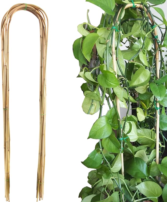 Avalution 10 Pcs Natural U-Hoops Bamboo Garden Trellis, 4 Ft Bamboo Trellis U-Shape Plant Support for Climbing Plants Indoor and Outdoor Use Avalution