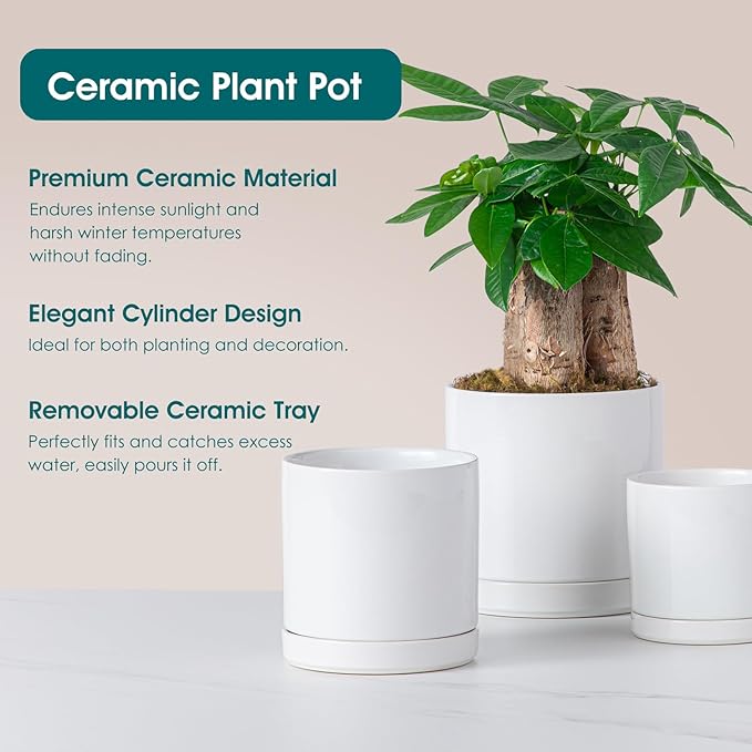 vancasso Ceramic Plant Pots, 3 Piece Planters for Indoor Plants, 4.25+5.25+6.25 Inch Flower Pots with Drainage, Plant Pots Indoor for Succulent, Pothos, Snake Plant and Money Tree, Etc (White) vancasso