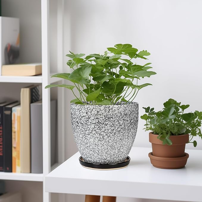 Ceramic Planter - 6.3 Inch Plant Pot for Indoor Ourdoor Plants, Round Succulent Planter, Decorative Flower Pots with Drainage Hole and Saucer, Home Desk Decor, Housewarming Gifts, White-black EPFamily