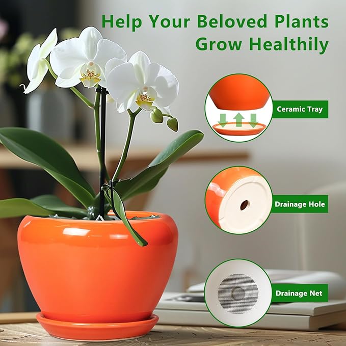Indoor Plant Pot 8 Inch - Ceramic Plant Pot with Drainage Hole and Saucer, Glaze Decorative Modern Round Planter for Outdoor Plants, Housewarming Gifts, Office Home Garden Decor, Orange Ceramicfor