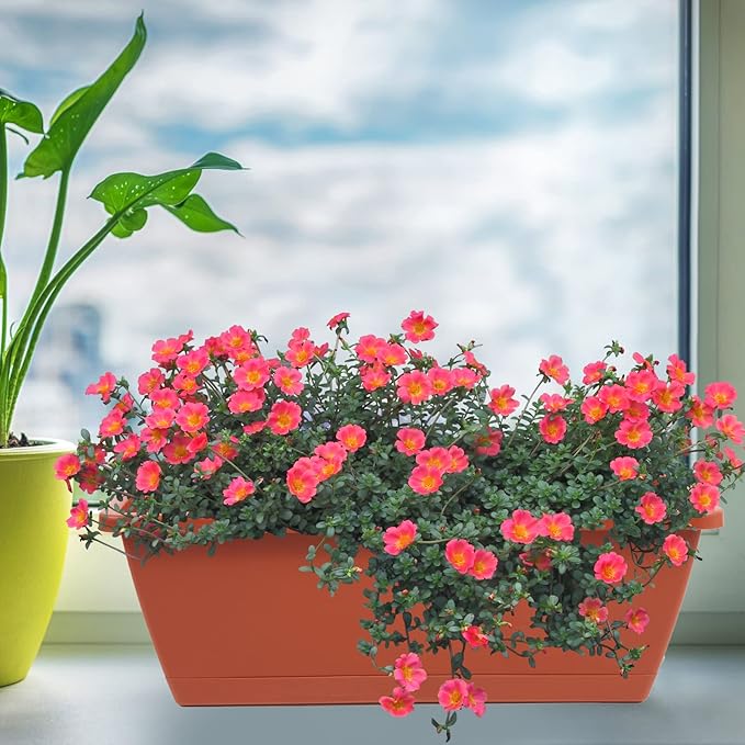 8pcs Window Box Planter,17 Inches Flower Window Boxes, Rectangle Planters Box with Drainage Holes and Trays, Plastic Vegetable Planters for Windowsill Patio Garden Home Decor Porch Yard (Red) Hananojia