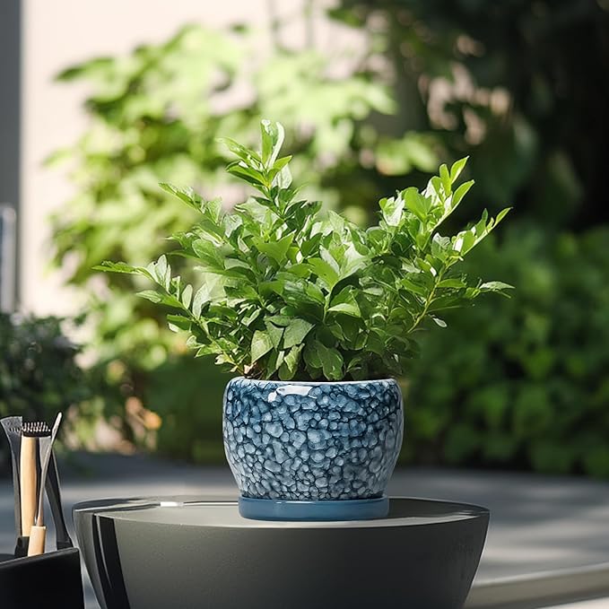 SQOWL Ceramic Pots for Plants - 6 Inch Plant Pot Indoor Outdoor, Ceramic Planter with Drainage Hole and Saucer, Decorative Round Planter, Small Flower Pot, Table Decor, Gifts for Plant Lovers, Blue SQOWL