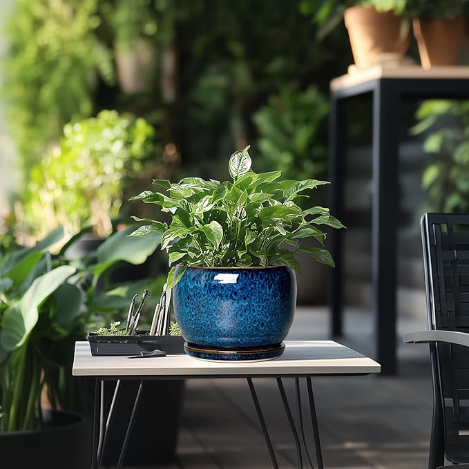 SQOWL Ceramic Planter 8 Inch - Pot for Indoor Outdoor Plants Round Ceramic Plant Pot with Drainage Hole and Saucer Modern Flower Pot Glazed Blue SQOWL