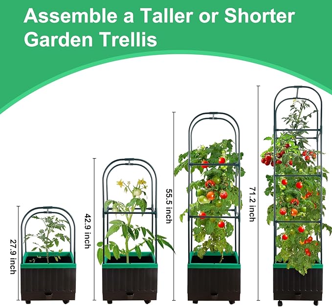 Raised Garden Bed with Self Watering Garden Pots, Planter Box with Trellis for Climbing Plants Vegetable Vine Flowers, Tomato Cage Planter for Indoor Outdoor Yard Greenhouse Use YHTPOUQE