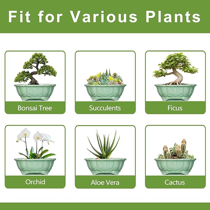 Bonsai Tree Pot - 13.2 Inch Large Ceramic Succulent Planter for Indoor Outdoor, Oval Plant Pot with Drainage Hole, Decorative Flower Pots, Home Decor, Gifts for Plant Lovers, Green Teagas