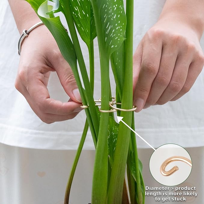 Monstera Plant Stem Support Set - 5 Durable Stabilizers (2.75"x2.75") for Indoor Plants, Leaf Holder & Cactus Stake - Keep Monstera Healthy & Upright - Ideal Gift for Plant Lovers Yohsnor